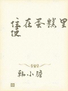 住在蛋糕里的天使