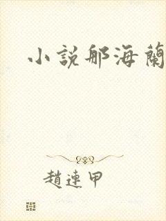 小说那海兰珠