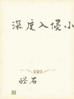 深度入侵小说