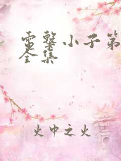 电击小子第二部全集