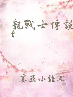 龙战士传说txt