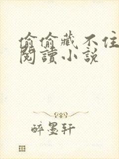 偷偷藏不住免费阅读小说