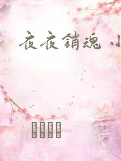 夜夜销魂 小说