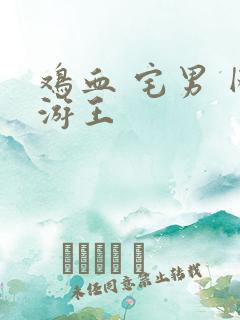 鸡血 宅男 网游王