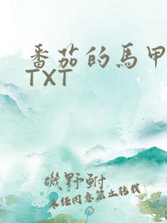 番茄的马甲小说TXT