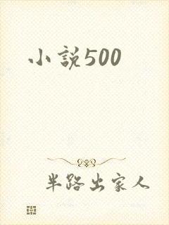 小说500