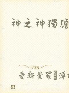 神之神独胆王