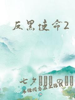 反黑使命2