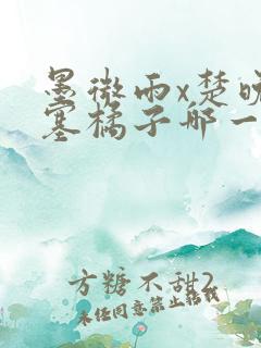 墨微雨x楚晚宁塞橘子哪一章