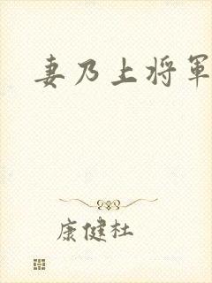 妻乃上将军下载