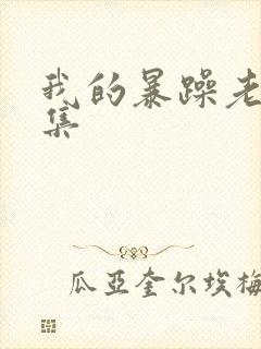 我的暴躁老妈全集