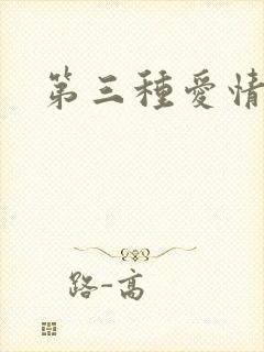 第三种爱情番外