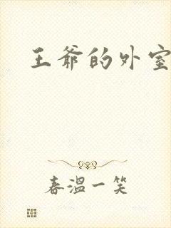 王爷的外室