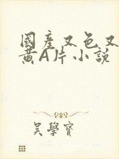 国产又色又爽又黄A片小说