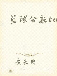 篮球公敌txt