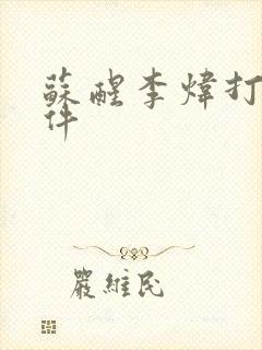 苏醒李炜打架事件