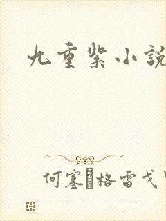 九重紫小说