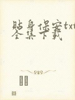 贴身保安txt全集下载