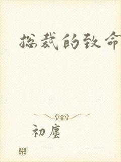 总裁的致命罪妻