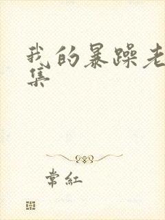 我的暴躁老妈全集