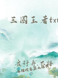 三国王者txt