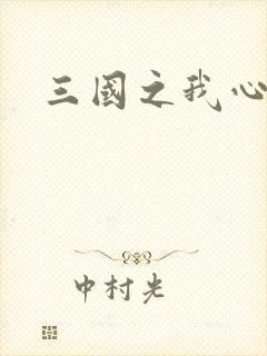 三国之我心狂想