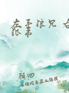 左手狼兄 右手狐弟