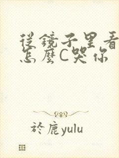 从镜子里看我是怎么C哭你