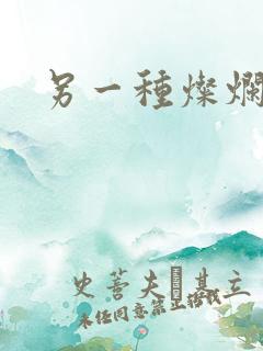 另一种灿烂生活