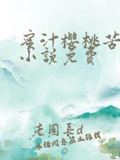 蜜汁樱桃苦咖啡小说免费