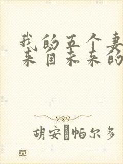 我的五个妻子和来自未来的孩子