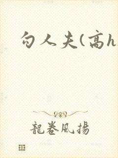 勾人夫(高h)