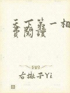 天下第一相书免费阅读