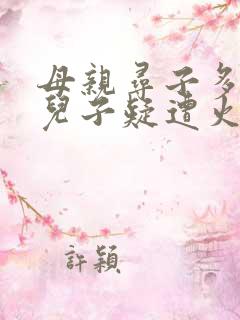 母亲寻子多年 儿子疑遭火车撞击身亡