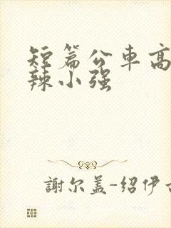短篇公车高h肉辣小强