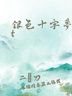 银色十字梦txt
