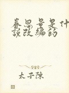 眷思量是什么小说改编的