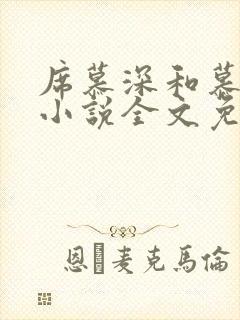 席慕深和慕清泠小说全文免费阅读