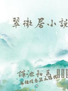 翠微居小说