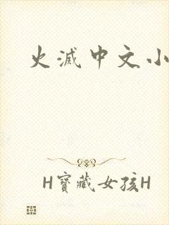 火灭中文小说