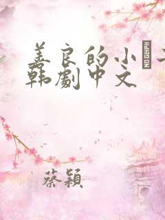 善良的小峓子2韩剧中文