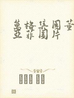 万格集团董事李亚菲图片