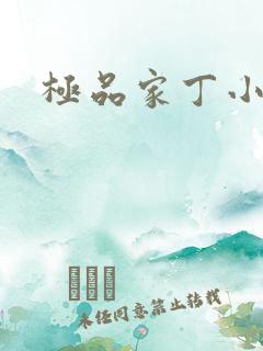 极品家丁小说