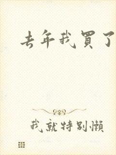 去年我买了个表