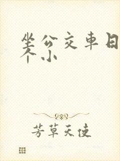 坐公交车日了两个小