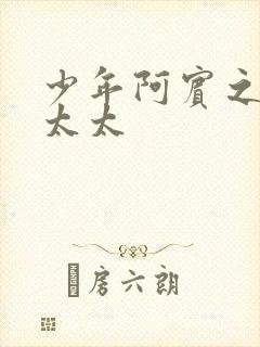 少年阿宾之房东太太