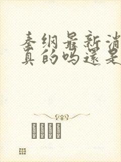 秦纲最新消息是真的吗还是假的