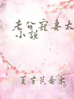 老公宠妻太甜蜜 小说