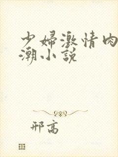 少妇激情肉欲高潮小说