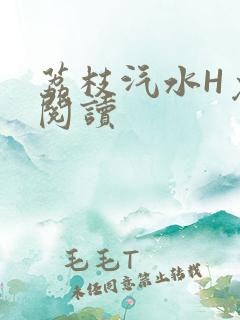 荔枝汽水H免费阅读